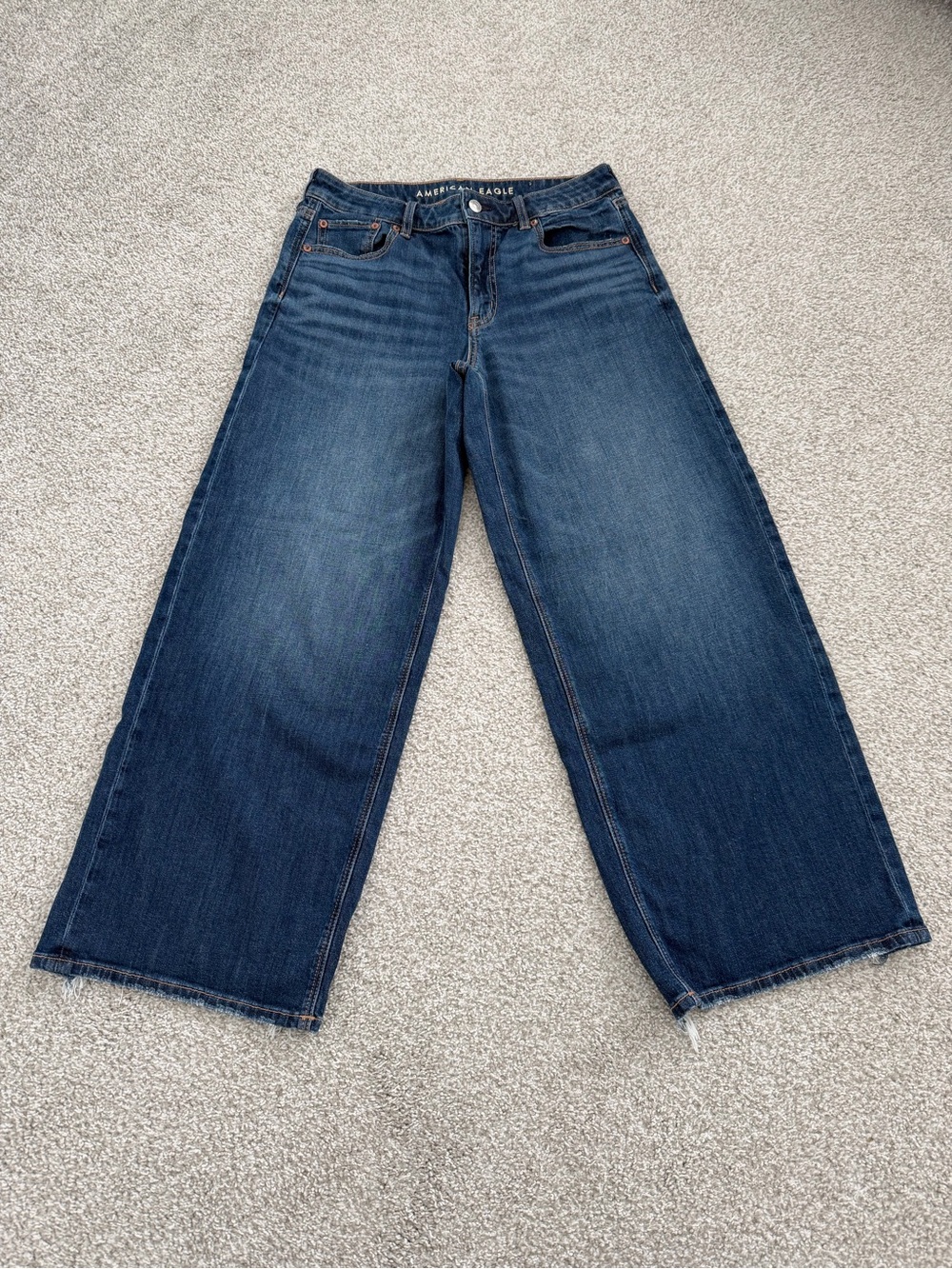 American Eagle Outfitters Dreamy Drape Baggy Wide Leg